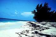 abacos yacht charter